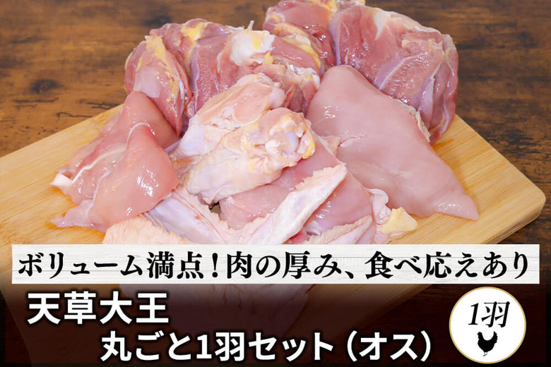 【1羽セット・オス】<br>「とおるさんの天草大王 1羽セット オス」(約1.6kg台~)の商品画像