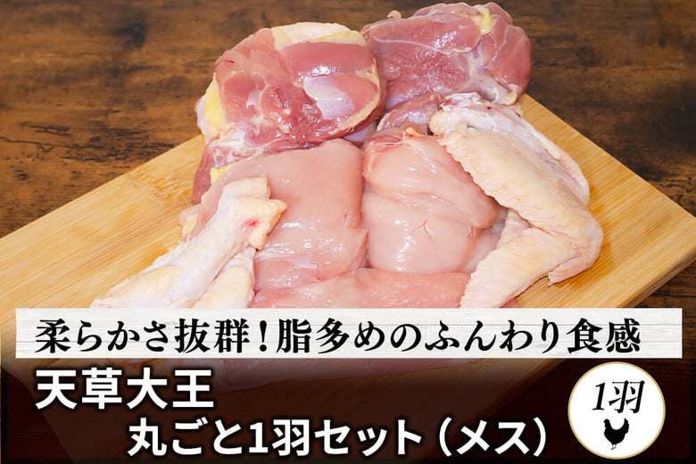 【1羽セット・メス】<br>「とおるさんの天草大王 1羽セット メス」(約1.1~kg)の商品画像