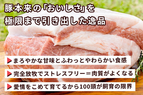 商品番号：828｜【塊肉】宮城県・杉田さんの「豚（放牧豚）　肩肉」ブロック（500g）の商品画像3