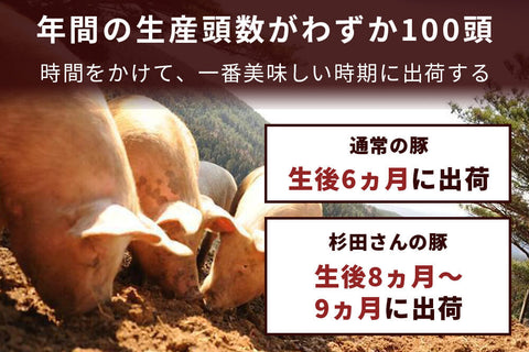 商品番号：828｜【塊肉】宮城県・杉田さんの「豚（放牧豚）　肩肉」ブロック（500g）の商品画像5