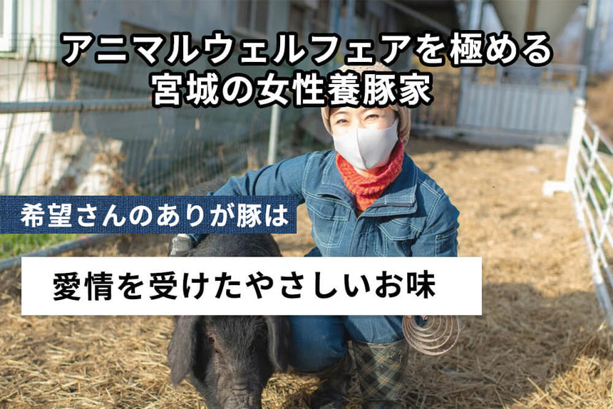 商品番号：633｜【白ホルモン入り】希望さんの「有難豚（ありがとん）」ホルモン（500g）の商品画像2