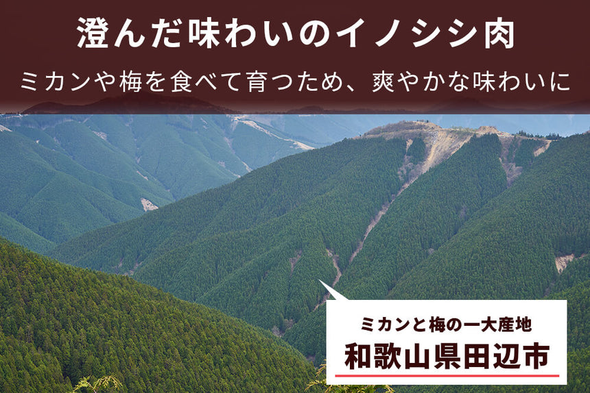 商品番号：876｜【厳選ギフト・送料無料】和歌山県・湯川さんの「紀州イノシシ」ぼたん鍋セット　信州みそ鍋の素付き（合計700g）の商品画像4