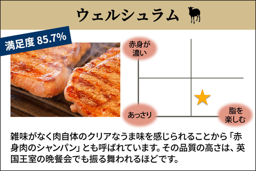 商品番号：237｜【ステーキお試しセット】「ウェルシュラム肉」セット（約680g）の商品画像2