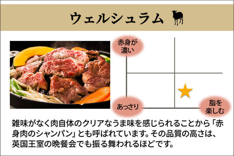 商品番号：237｜【ステーキお試しセット】「ウェルシュラム肉」セット（約680g）