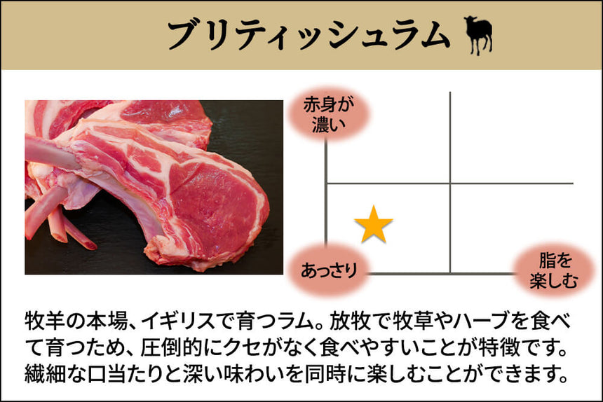 商品番号：953｜【骨付き肉】「ブリティッシュラム　スペアリブ」（500g）の商品画像2