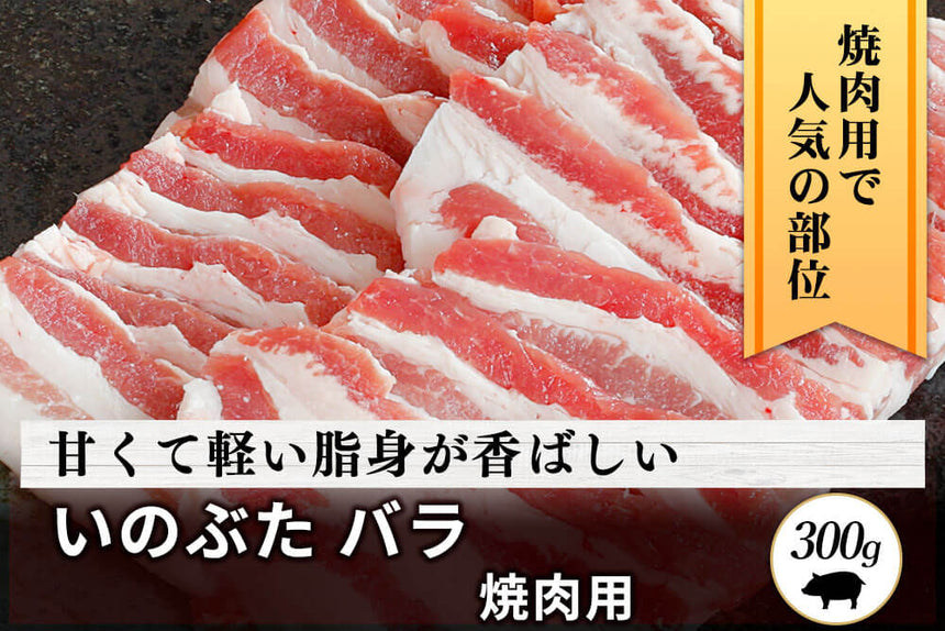 商品番号：418｜【焼肉用】兵庫県・嶋本さんの「いのぶた　バラ肉」スライス（300g）の商品画像1