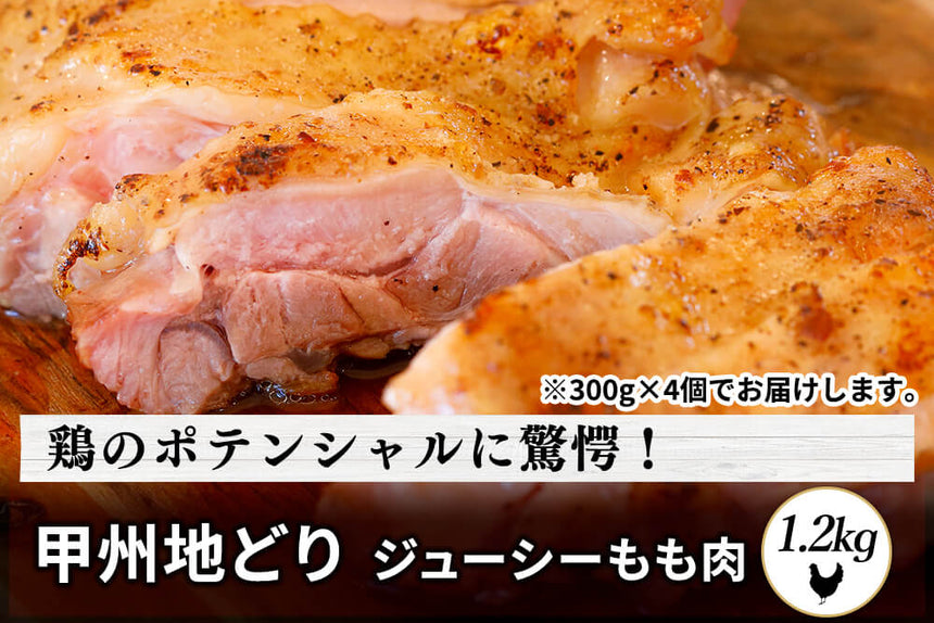 商品番号：743｜【ソテーにおすすめ】山梨県・加藤さんの「甲州地どり　もも肉」（1.2kg）の商品画像1