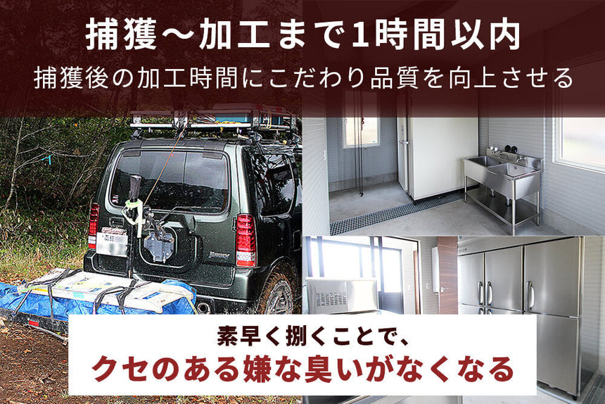 商品番号：457｜【塊肉】北海道の「函館エゾシカ　熟成濃厚赤身肉」ブロック（500g）の商品画像5