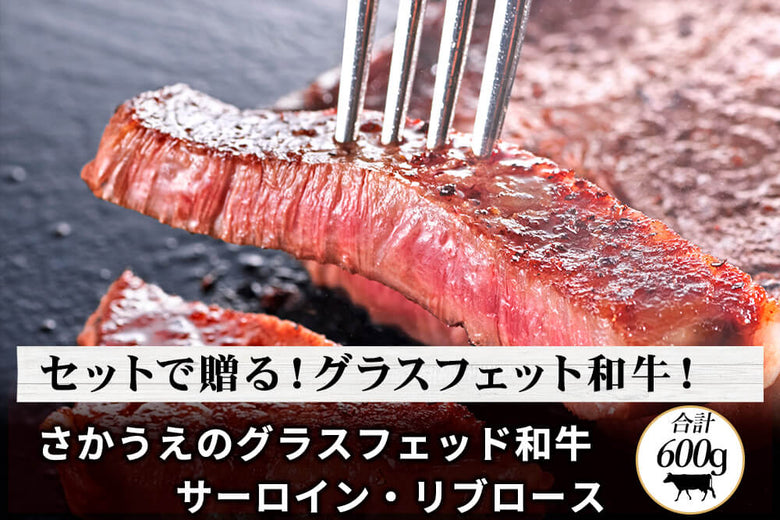 クストージェフB．M、「謝肉祭」、希少な額装用画集より、新品高級額装付、送料