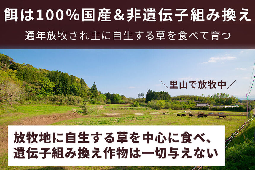 商品番号：873｜【厳選ギフト・送料無料】「さかうえのグラスフェッド黒毛和牛　すき焼きセット」（合計600g）の商品画像5