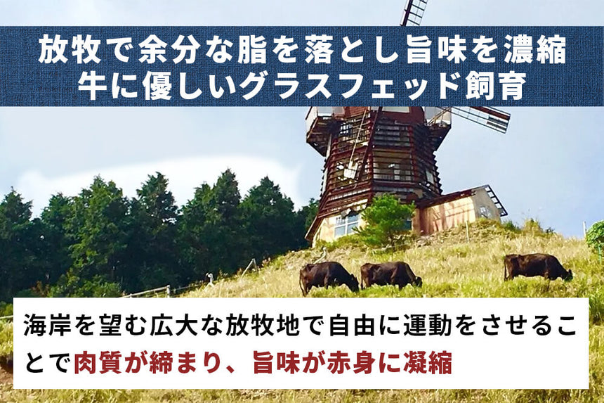 商品番号：547｜【塊肉】宮崎県・八崎さんの「熟成黒毛和牛　グラスフェッド赤身肉」ブロック　（500g）の商品画像5