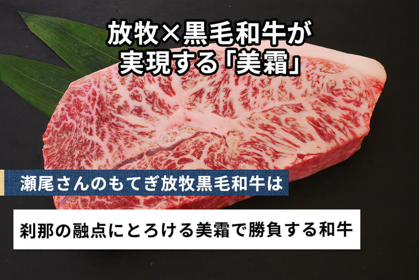 商品番号：855｜【ステーキ用】栃木県・瀬尾さんの「もてぎ放牧黒毛和牛　極上ミスジ」ステーキ（200g）の商品画像3