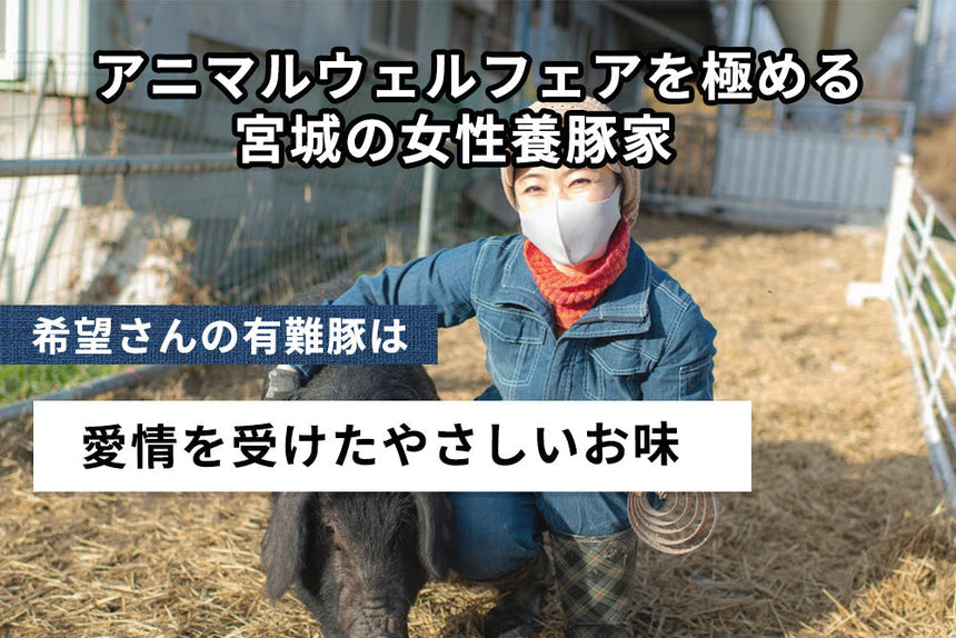 商品番号：993｜【生姜焼き用】希望さんの「有難豚（ありがとん） ウデ」スライス（300g）の商品画像3