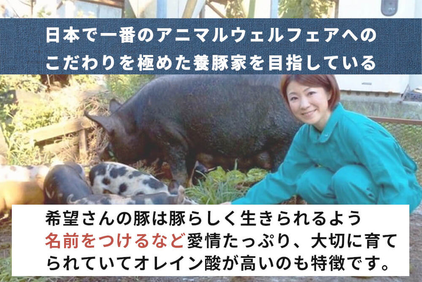 商品番号：615｜【ステーキ・とんかつ用】希望さんの「有難豚（ありがとん） ロース肉」スライス（400g）の商品画像4