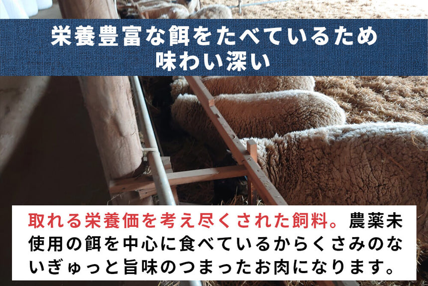 商品番号：674｜【ステーキ用】冨永さんの「国産羊肉　チョップ」（3本/合計：約300g）の商品画像5