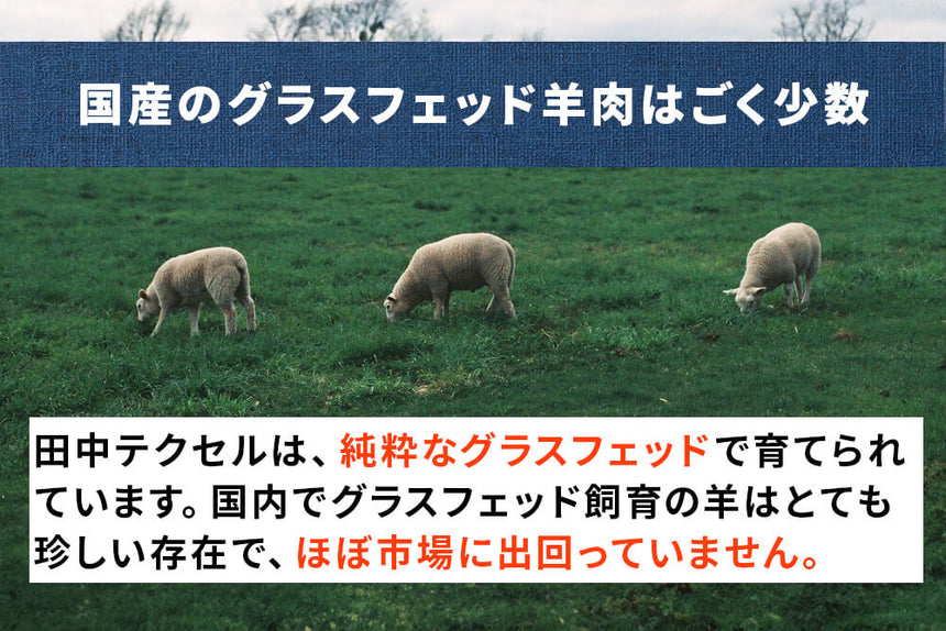 商品番号：854｜【フードロスセール】田中牧場の「グラスフェッド国産羊肉 ボーンブロス 」（500g）の商品画像4