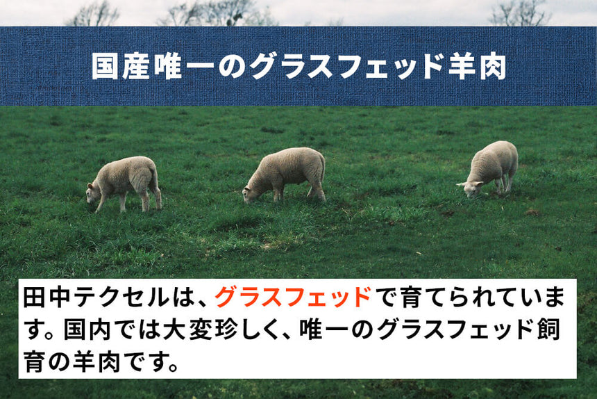 商品番号：852｜【骨付き肉】田中牧場の「グラスフェッド国産羊肉 スペアリブプレート」（約450g）の商品画像6