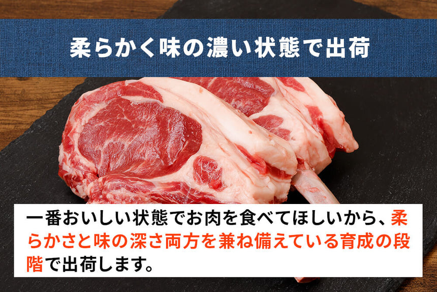 商品番号：846｜【2本セット】田中牧場の「グラスフェッド国産羊肉 ヒレ 」（約380g）の商品画像6