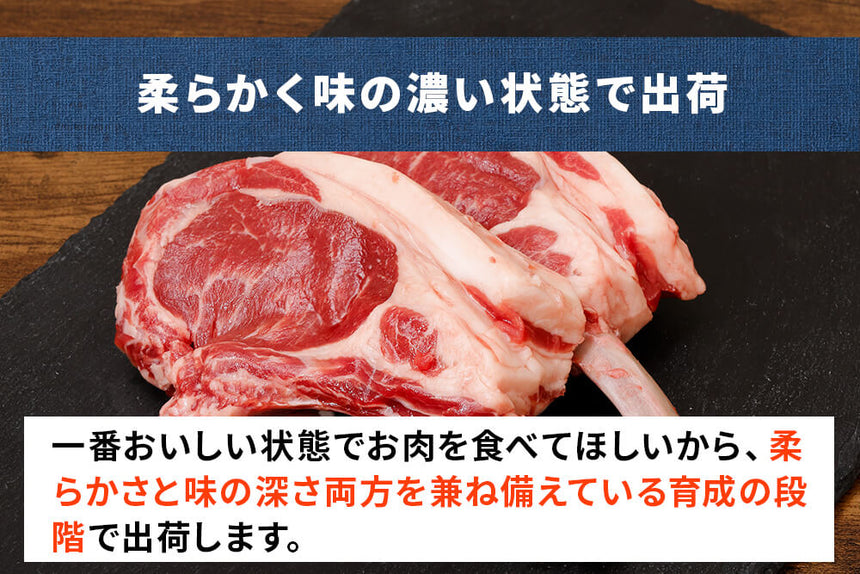 商品番号：854｜【賞味期限間近】田中牧場の「グラスフェッド国産羊肉 ボーンブロス 」（500g）の商品画像5