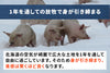 商品番号：895｜【フードロスセール】北海道・秦さんの「遊ぶた(あそぶた)　バラ肉」ブロック（500g）の商品画像4