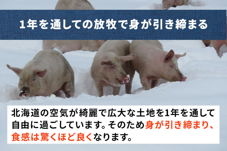 商品番号：899｜【ローストポーク用】北海道・秦さんの「遊ぶた(あそぶた)　赤身」ブロック（500g）の商品画像4