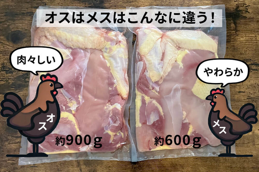 商品番号：980｜【食べ比べ・オス＆メス】熊本県・とおるさんの「天草大王　食べ比べ1羽分セット」（約1.4kg~）の商品画像3