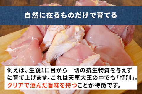 商品番号：963｜【骨付き肉】熊本県・とおるさんの「天草大王 手羽元」（10本）の商品画像4