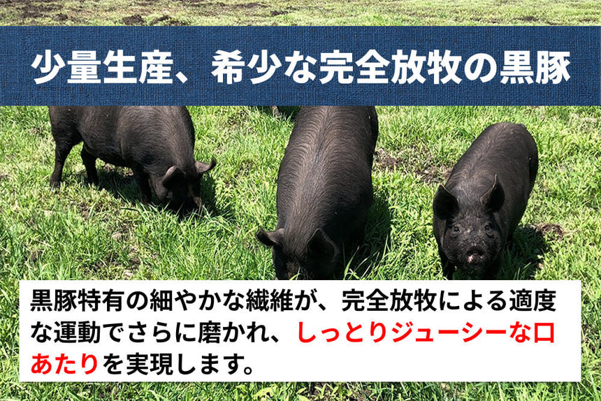 商品番号：1869｜【塊肉】北海道・中野さんの「十勝放牧黒豚　肩ロースブロック」（500g）の商品画像4