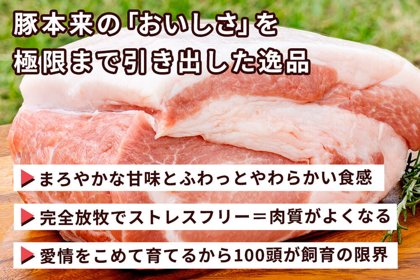 商品番号：361｜【絶品ローストポーク用】宮城県・杉田さんの「豚（放牧豚） 濃厚赤身」ブロック（500g）の商品画像3