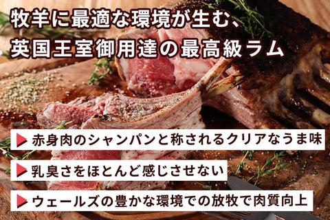 商品番号：754｜【ステーキお試しセット】「ウェルシュラム肉」セット（約680g）の商品画像2