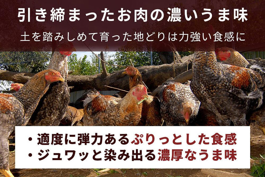 商品番号：252｜【4部位お試しセット】山梨県・加藤さんの「甲州地どり」セット（合計1.35kg）の商品画像4