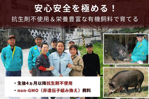 商品番号：410｜【生ハム】兵庫県・嶋本さんの「イノブタ肉」生ハム（スライス300g）の商品画像4