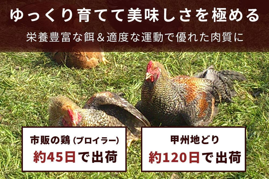 商品番号：252｜【4部位お試しセット】山梨県・加藤さんの「甲州地どり」セット（合計1.35kg）の商品画像5