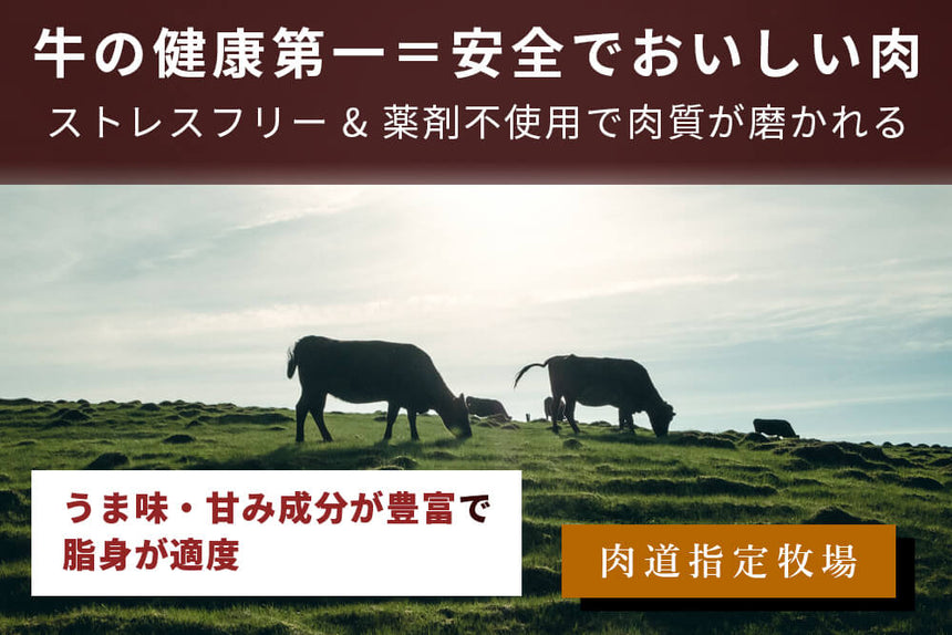 商品番号：204｜【でかステーキ】高知県の「土佐あかうし　ロース」ステーキ（300g）の商品画像5