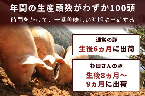 商品番号：375｜【ステーキ・とんかつ用】宮城県・杉田さんの「豚（放牧豚）　ロース肉」スライス（300g）の商品画像5