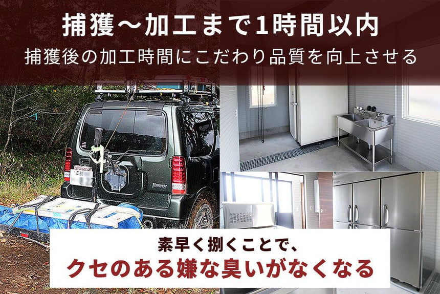 商品番号：169｜【焼肉用】北海道の「函館エゾシカ　熟成濃厚赤身肉」 スライス（300g）の商品画像5