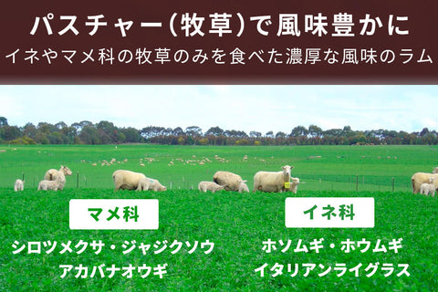 商品番号：146｜【塊肉】「パスチャーフェッドラム　CFOラック」ブロック（約500g）の商品画像4