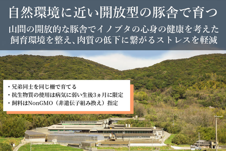 商品番号：229｜【2部位お試しセット】兵庫県・嶋本さんの「いのぶた肉」焼肉用セットB（合計200g）の商品画像4