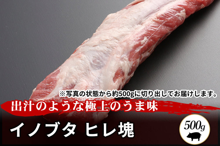 商品番号：417｜【塊肉】兵庫県・嶋本さんの「イノブタ　ヒレ肉」ブロック（500g）の商品画像1
