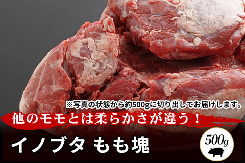 商品番号：416｜【塊肉】兵庫県・嶋本さんの「イノブタ　もも肉」ブロック（500g）の商品画像1