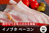 商品番号：411｜【ベーコン】兵庫県・嶋本さんの「イノブタ肉」ベーコン（300g）の商品画像1