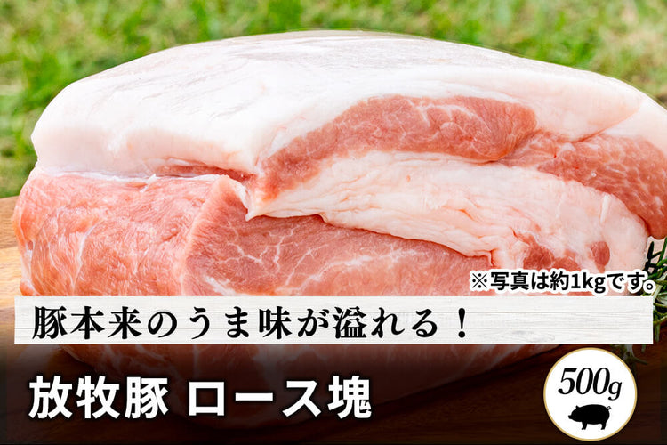 商品番号：380｜【塊肉】宮城県・杉田さんの「豚（放牧豚）　ロース肉」ブロック（500g）