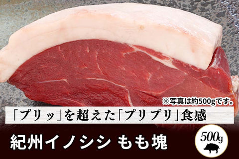 商品番号：777｜【塊肉】和歌山県・湯川さんの「紀州イノシシ　もも肉」ブロック（500g）の商品画像1