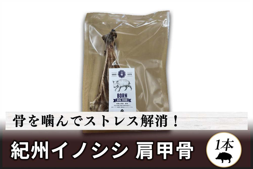 商品番号：433｜【無添加・ペット用】和歌山県・湯川さんの「紀州イノシシ　犬用　肩甲骨」（1本）の商品画像1