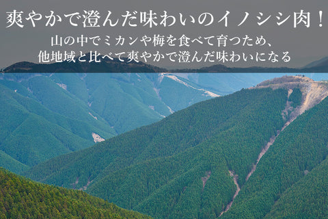 商品番号：765｜【4部位お試しセット】和歌山県・湯川さんの「紀州イノシシ肉」焼肉用セット（合計400g）の商品画像2