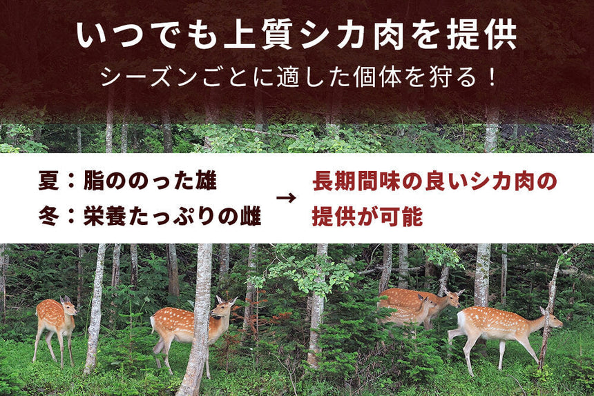 商品番号：500｜【焼肉用】和歌山県・湯川さんの「紀州シカ　濃厚赤身肉」(300g)の商品画像5