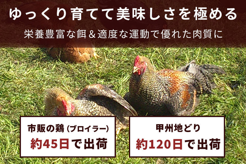 商品番号：745｜【焼き鳥におすすめ】山梨県・加藤さんの「甲州地どり　手羽先」（1.6kg）の商品画像5