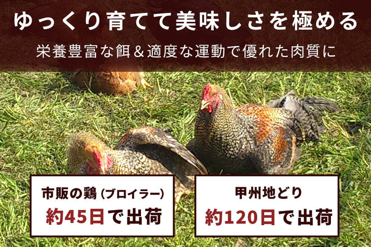 商品番号：747｜【茹で鶏におすすめ】山梨県・加藤さんの「甲州地どり　ササミ肉」（720g）の商品画像4