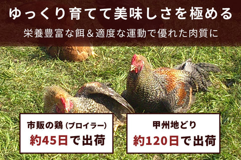 商品番号：744｜【蒸し鶏におすすめ】山梨県・加藤さんの「甲州地どり　ムネ肉」（1kg）の商品画像4
