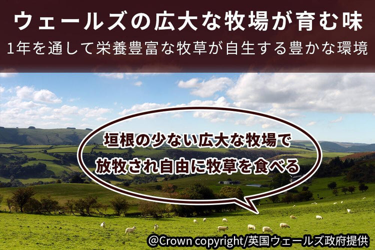 商品番号：762｜【ステーキ用】「ウェルシュラム　レッグ肉」スライス（2枚/260g）の商品画像4